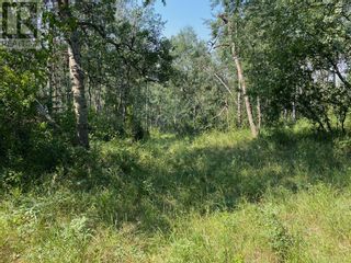 Photo 32: Range Road 23-1 in Rural Lacombe County: Vacant Land for sale : MLS®# A1133348