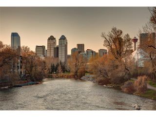 Photo 47: 415 60 24 Avenue SW in Calgary: Erlton Condo for sale : MLS®# C4051077