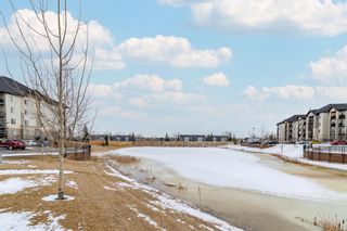 Photo 3: 8125 304 Mackenzie Way SW: Airdrie Apartment for sale : MLS®# A1188066