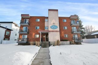 Photo 32: 304 4415 48 Avenue: Red Deer Apartment for sale : MLS®# A2018781