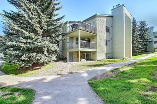 Photo 43: 2137 70 GLAMIS Drive SW in Calgary: Glamorgan Apartment for sale : MLS®# C4299389