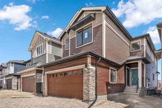 Photo 1: 224 Homestead Grove NE in Calgary: C-686 Detached for sale : MLS®# A2126267
