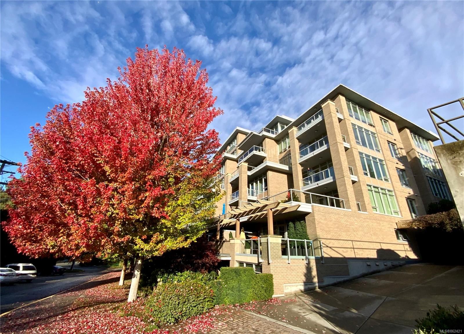Main Photo: 1 828 Rupert Terr in Victoria: Vi Downtown Row/Townhouse for sale : MLS®# 862421