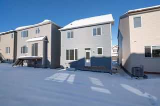 Photo 35: 821 Windrow Green SW: Airdrie Detached for sale : MLS®# A2011527