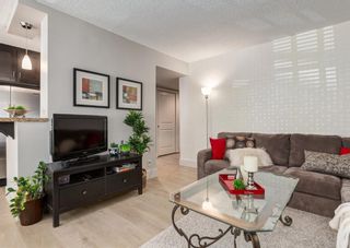 Photo 5: 102 733 14 Avenue SW in Calgary: Beltline Apartment for sale : MLS®# A1217940