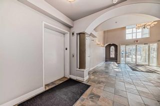 Photo 33: 320 1800 14A Street SW in Calgary: Bankview Apartment for sale : MLS®# A2124871