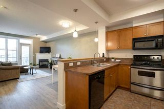 Photo 11: 210 208 Holy Cross Lane SW in Calgary: Mission Apartment for sale : MLS®# A1174088