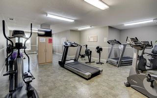 Photo 31: 146 15 Everstone Drive SW in Calgary: Evergreen Apartment for sale : MLS®# A2007151