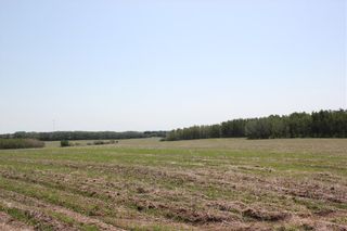 Photo 29: 1262 Township 391: Rural Red Deer County Detached for sale : MLS®# C4192272