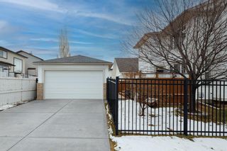 Photo 44: 189 Evanscove Circle in Calgary: Evanston Detached for sale : MLS®# A2012813