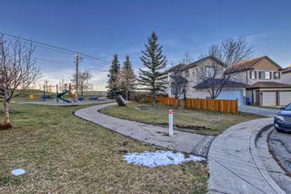 Photo 43: 171 Coville Close NE in Calgary: Coventry Hills Detached for sale : MLS®# A2094241