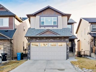 Photo 1: 57 Skyview Springs Road NE in Calgary: Skyview Ranch Detached for sale : MLS®# A1180474