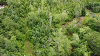 Photo 12: Lot WA - 2 Moser River North Road in Moser River: 35-Halifax County East Vacant Land for sale (Halifax-Dartmouth)  : MLS®# 202309842