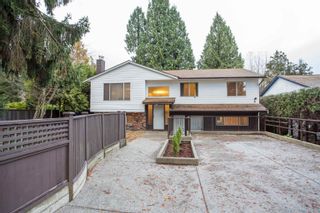 Photo 38: 730 IVY Avenue in Coquitlam: Coquitlam West House for sale : MLS®# R2633575