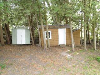 Photo 11: 17 North Taylor Road in Kawartha Lakes: Rural Eldon House (Bungalow) for sale : MLS®# X2900348