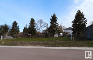 Photo 3: 14   6519 46 Street: Wetaskiwin Vacant Lot/Land for sale : MLS®# E4295212