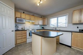 Photo 12: 44 Bridlecrest Street SW in Calgary: Bridlewood Detached for sale : MLS®# A1186403