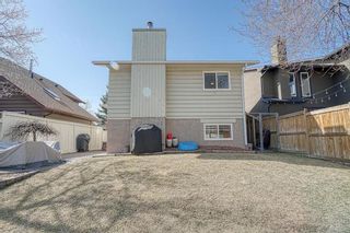 Photo 49: 320 Bermuda Drive NW in Calgary: Beddington Heights Detached for sale : MLS®# A1211726
