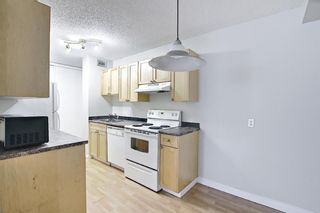 Photo 6: 504 1240 12 Avenue SW in Calgary: Beltline Apartment for sale : MLS®# A1093154