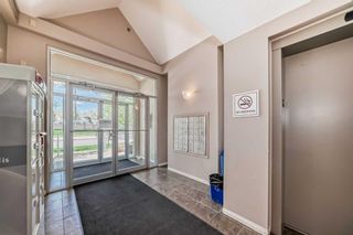 Photo 5: 110 1000 Applevillage Court SE in Calgary: Applewood Park Apartment for sale : MLS®# A2132170