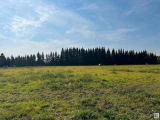 Photo 11: 3 24311 TWP RD 552: Rural Sturgeon County House for sale : MLS®# E4383554
