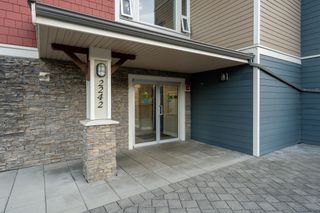 Photo 27: 115 2242 WHATCOM Road in Abbotsford: Abbotsford East Condo for sale in "Waterleaf" : MLS®# R2722263