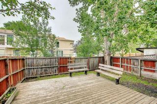 Photo 22: 124 Pineset Place NE in Calgary: Pineridge Semi Detached for sale : MLS®# A1236834