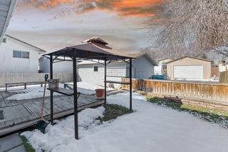 Photo 31: 215 Rundlehorn Crescent NE in Calgary: Rundle Detached for sale : MLS®# A1207340