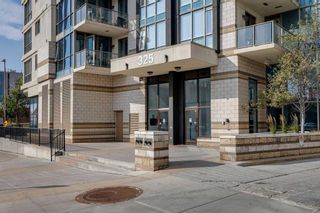 Photo 15: 311 325 3 Street SE in Calgary: Downtown East Village Apartment for sale : MLS®# A2077880
