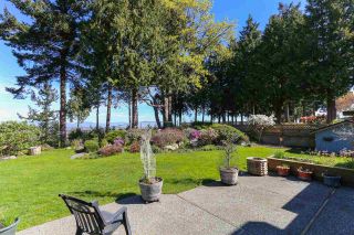 Photo 15: 1225 PACIFIC Drive in Tsawwassen: English Bluff House for sale : MLS®# R2052460