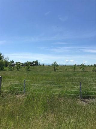 Photo 5: 450243 118 Street E: Rural Foothills County Land for sale : MLS®# A1055871