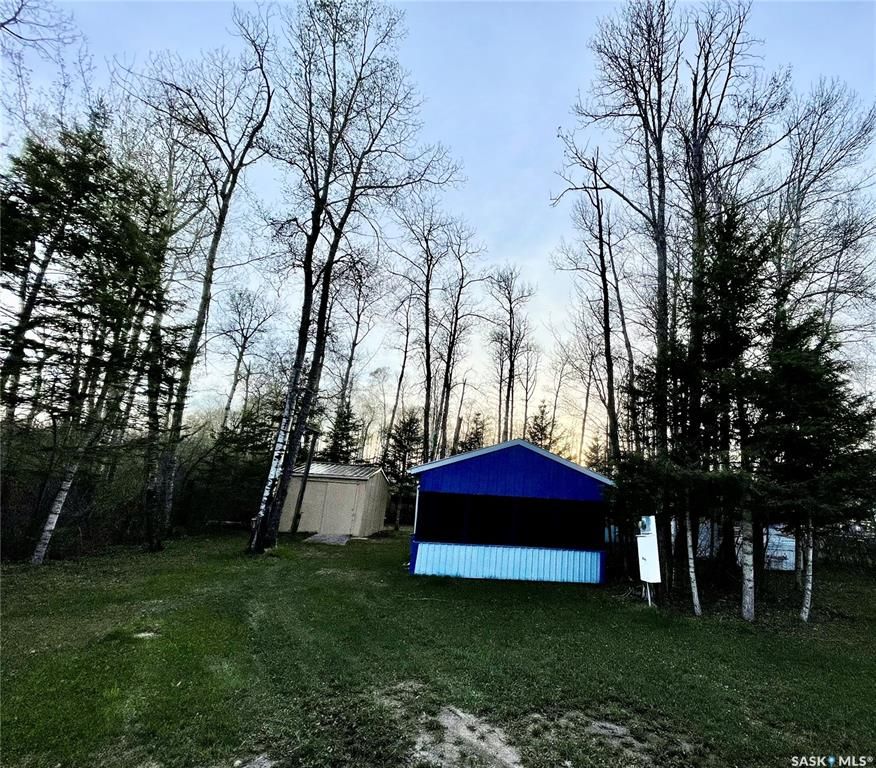 Main Photo: 10 George Avenue in Clemenceau: Lot/Land for sale : MLS®# SK929802