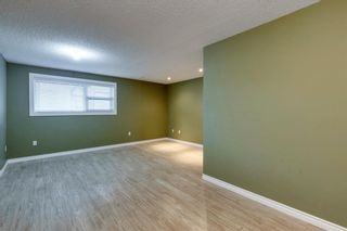 Photo 28: 5917 Bow Crescent NW in Calgary: Bowness Detached for sale : MLS®# A1216142