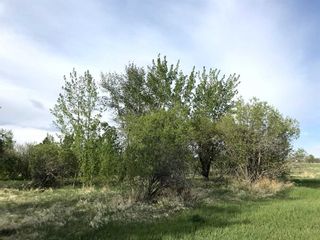 Photo 22: Range Road 264: Rural Wheatland County Residential Land for sale : MLS®# A2108486