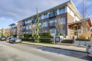 Photo 1: 103 245 BROOKES Street in New Westminster: Queensborough Condo for sale in "DUO" : MLS®# R2331549