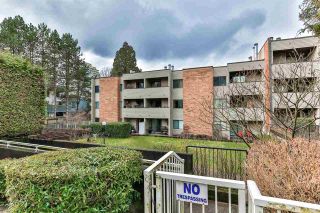 Photo 9: 208 615 NORTH Road in Coquitlam: Coquitlam West Condo for sale in "Norfolk Manor" : MLS®# R2433424