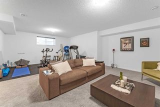 Photo 36: 43 Walden Court SE in Calgary: Walden Detached for sale : MLS®# A2134566