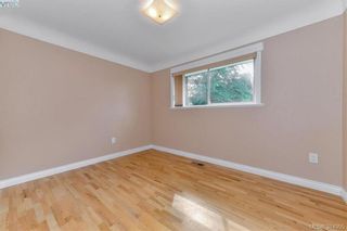 Photo 8: 4086 N Raymond St in VICTORIA: SW Glanford House for sale (Saanich West)  : MLS®# 773862