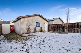 Photo 34: 50 Cranberry Green SE in Calgary: Cranston Detached for sale : MLS®# A1175127