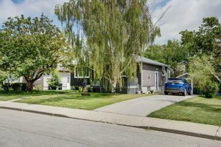 Photo 26: 1830 William Street SE in Calgary: Ramsay Detached for sale : MLS®# A1243540
