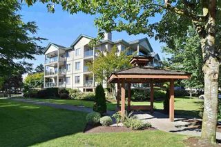 Photo 3: 304 20433 53 Avenue in Langley: Langley City Condo for sale in "Countryside Estates" : MLS®# R2254619