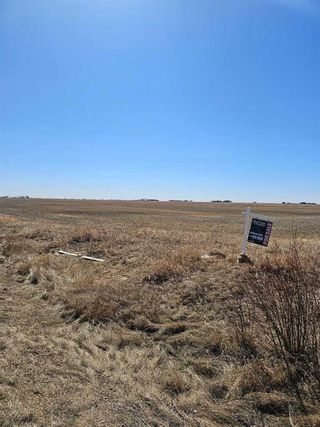 Photo 4: 5;1;31;35;NE (RANGE 1 TOWNSHIP RD 320): Rural Mountain View County Commercial Land for sale : MLS®# A2122418