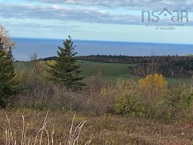 Main Photo: 10 acres Dunmaglass Road in Knoydart: 108-Rural Pictou County Vacant Land for sale (Northern Region)  : MLS®# 202215407