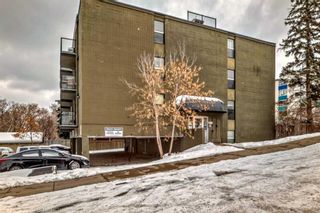 Photo 9: 305 1820 9 Street SW in Calgary: Lower Mount Royal Apartment for sale : MLS®# A2115945