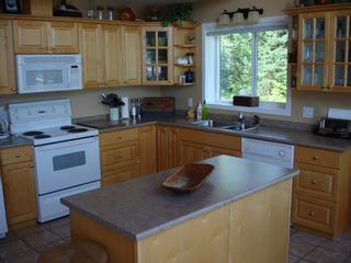 Photo 29: 4891 Parker Road: Eagle Bay House for sale (Shuswap Lake)  : MLS®# 10079122