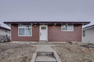 Photo 8: 26 Dovercliffe Close SE in Calgary: Dover Detached for sale : MLS®# A2115155