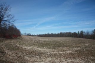 Photo 1: 2nd Line in Roseneath: Land Only for sale : MLS®# 188329