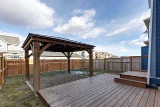 Photo 40: 40 Masters Terrace SE in Calgary: Mahogany Detached for sale : MLS®# A2092530