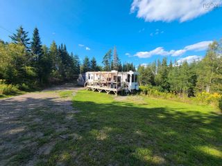 Photo 4: 17988 Highway 316 Crossroads in Country Harbour: 303-Guysborough County Vacant Land for sale (Highland Region)  : MLS®# 202317885