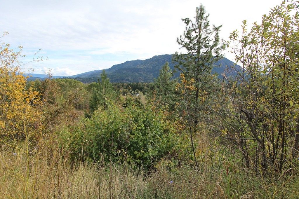 Main Photo: 36 2481 Squilax Anglemont Road in Lee Creek: North Shuswap Land Only for sale (Shuswap)  : MLS®# 10072100